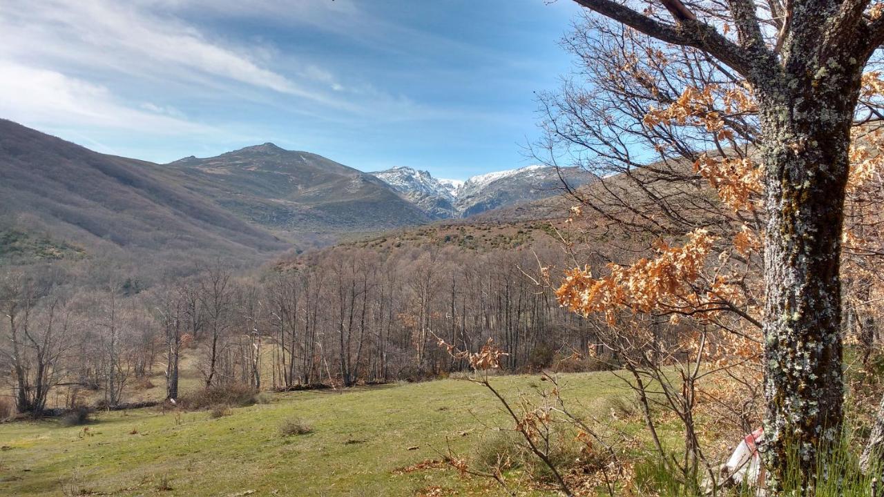 Вилла Al Patio Los Loros Экстерьер фото